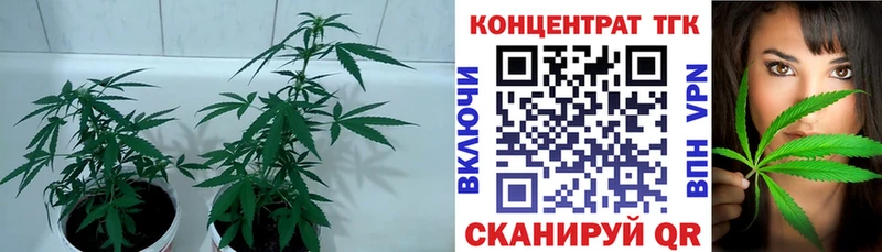 Дистиллят ТГК Wax  Купить где  Электрогорск 