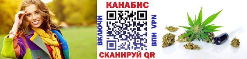 Купить где  Электрогорск  Бошки марихуана план 